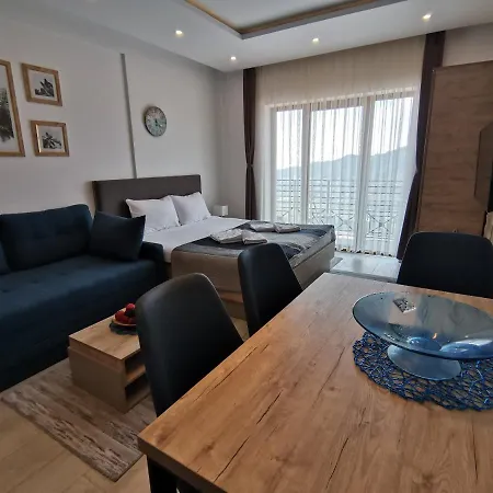 Apartment Ski&spa Milmari L17 *