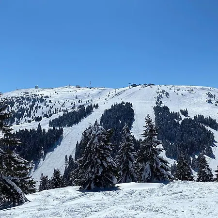 Ski&spa Milmari L17 Apartment *
