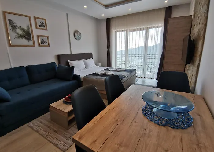 Daire Ski&spa Milmari L17 *