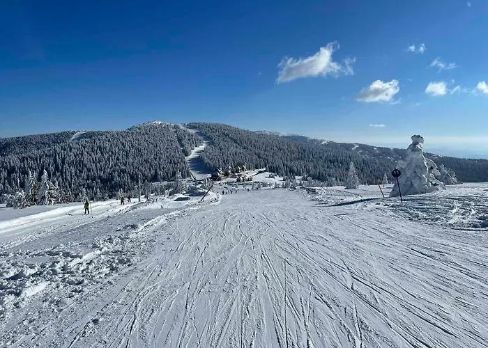 Ski&spa Milmari L17 *