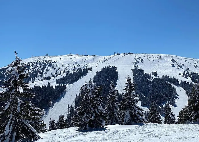 Ski&spa Milmari L17 Daire *