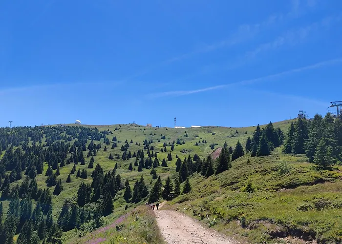 Ski&spa Milmari L17 Daire *