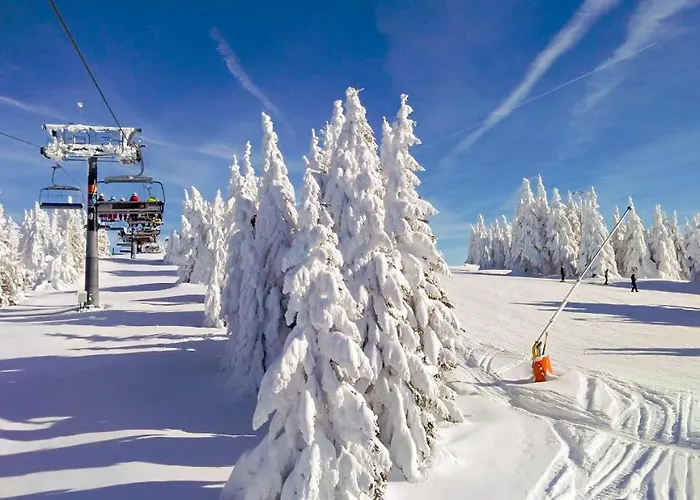 Ski&spa Milmari L17 Kopaonik